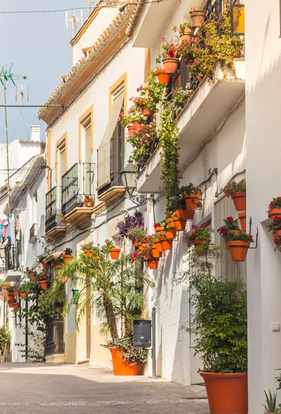 AGP Estapona Adobestock 218778804