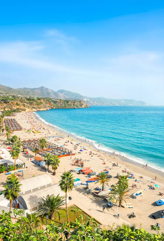 AGP Malaga 553138726