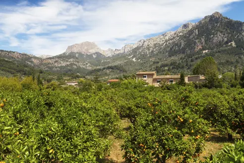 PMI_Soller GettyImages-478055686.jpg