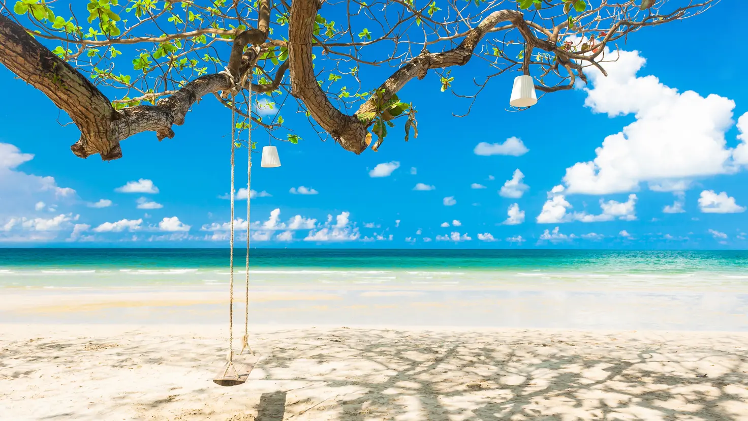 Thai Kohchang 192694850