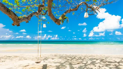 Thai Kohchang 192694850