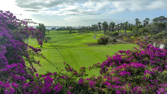 Golfdelsur 4