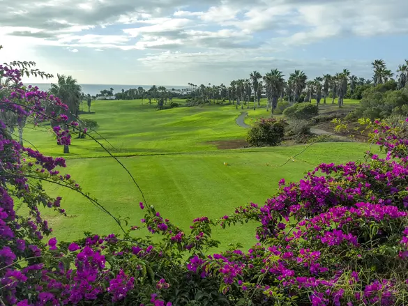Golfdelsur 4