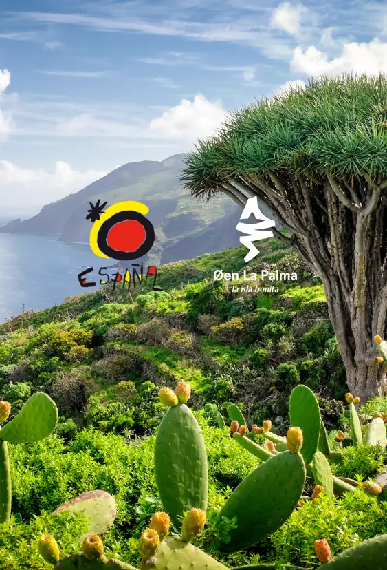 La-Palma_Topbanner-frontpage.jpg