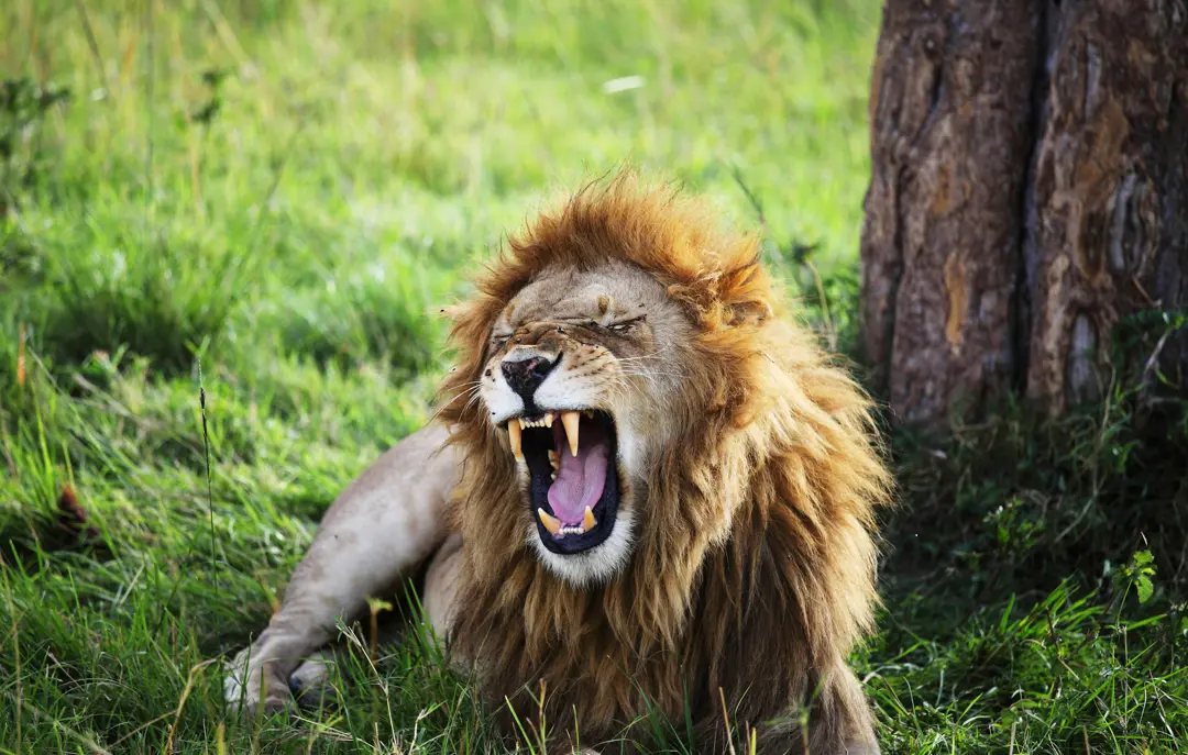 Shutterstock 149781956