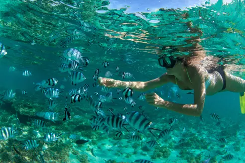 Snorkling Adobestock 351371187