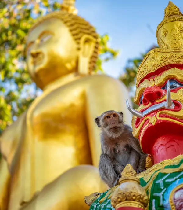Thai Hua Hin Mount Khao Takiab Adobestock 728070440