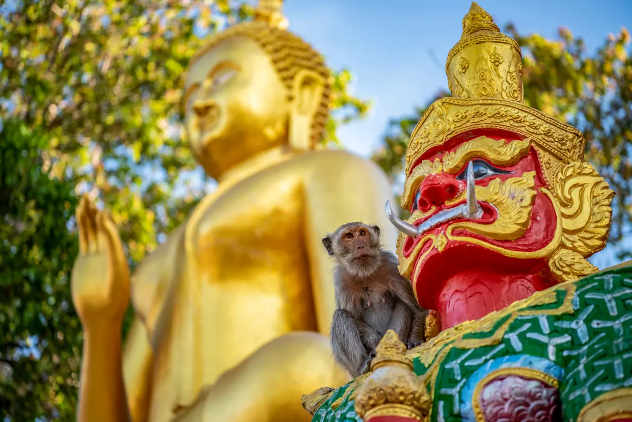 Thai Hua Hin Mount Khao Takiab Adobestock 728070440