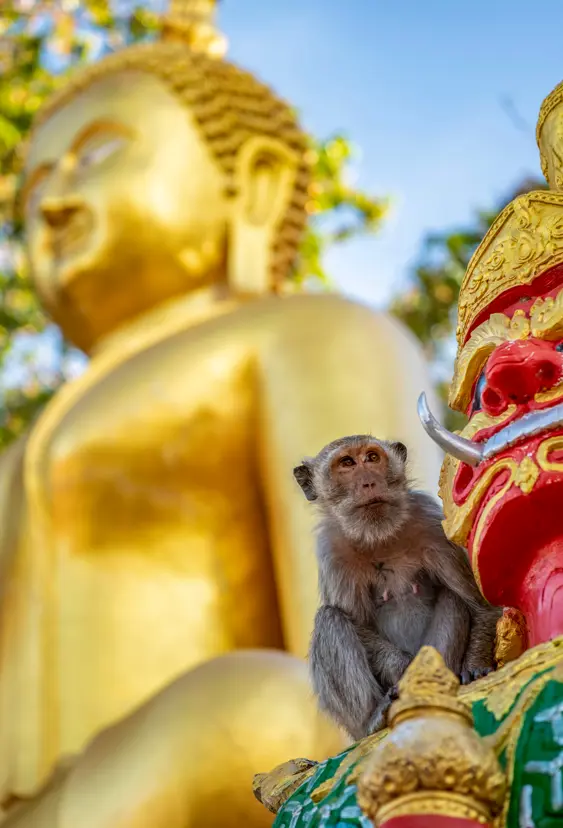 Thai Hua Hin Mount Khao Takiab Adobestock 728070440