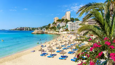 PMI Cala Mayor Adobestock 444568166