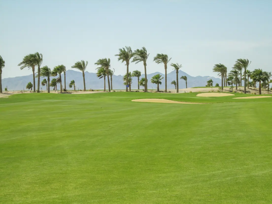 Anient Sands Resort El Gouna Golf 10Th Tee Green