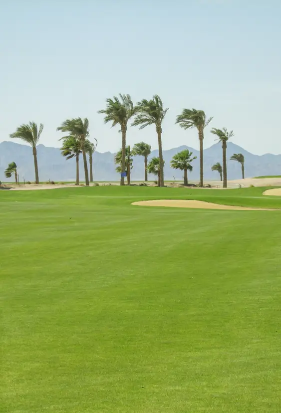 Anient Sands Resort El Gouna Golf 10Th Tee Green
