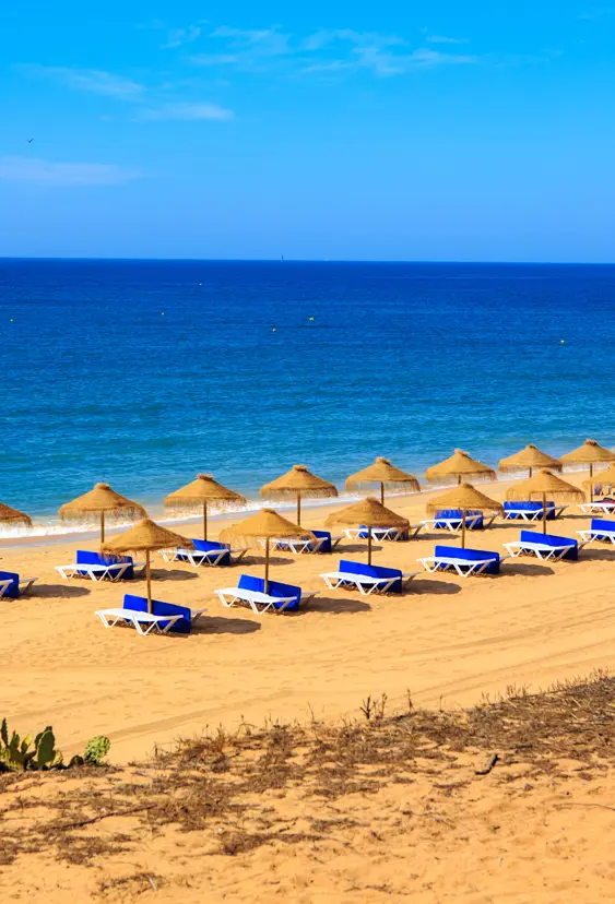FAO Vilamoura 358335266