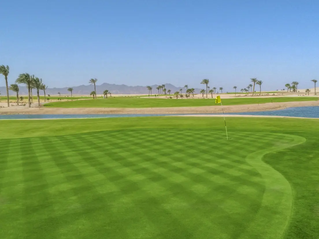 Anient Sands Resort El Gouna Golf 15Th Tee Green