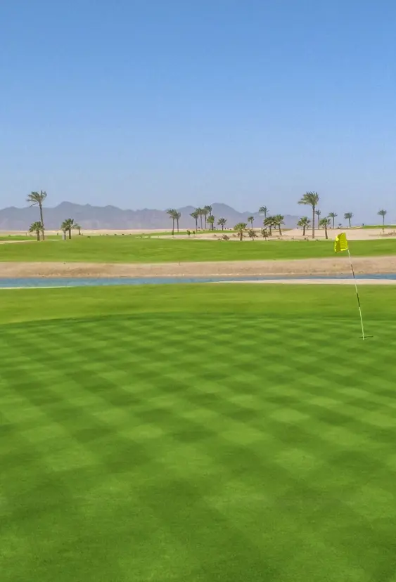 Anient Sands Resort El Gouna Golf 15Th Tee Green