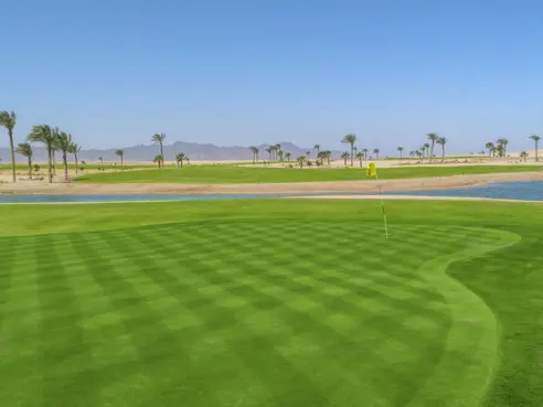 Anient Sands Resort El Gouna Golf 15Th Tee Green