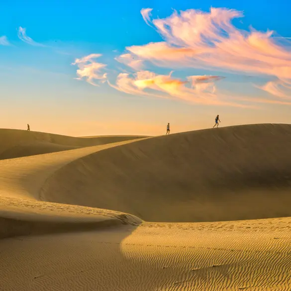 LPA Maspalomas Dunes 767867428