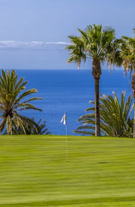 Tecina Golf Green Hole 5
