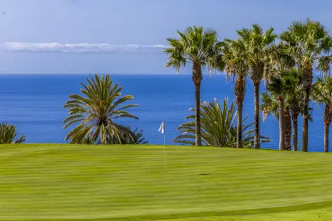 Tecina Golf Green Hole 5