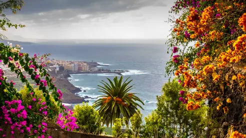 TFS Puertodelacruz Adobestock 246763205