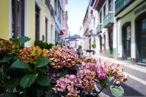 Ponta Delgada 21