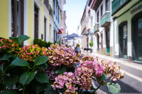 Ponta Delgada 21