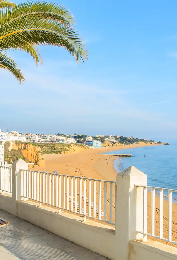FAO Albufeira 244152385