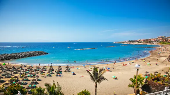 TFS Playa De Las Americas 135627239