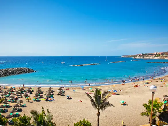 TFS Playa De Las Americas 135627239