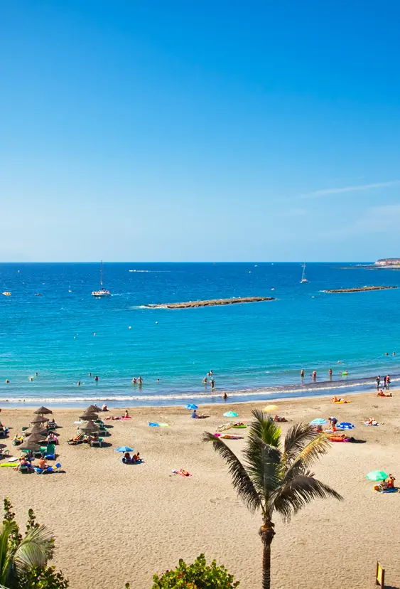 TFS Playa De Las Americas 135627239