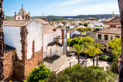 FAO SIlves AdobeStock_590730034.jpeg