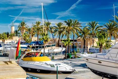 AGP Fuengirola 287215667