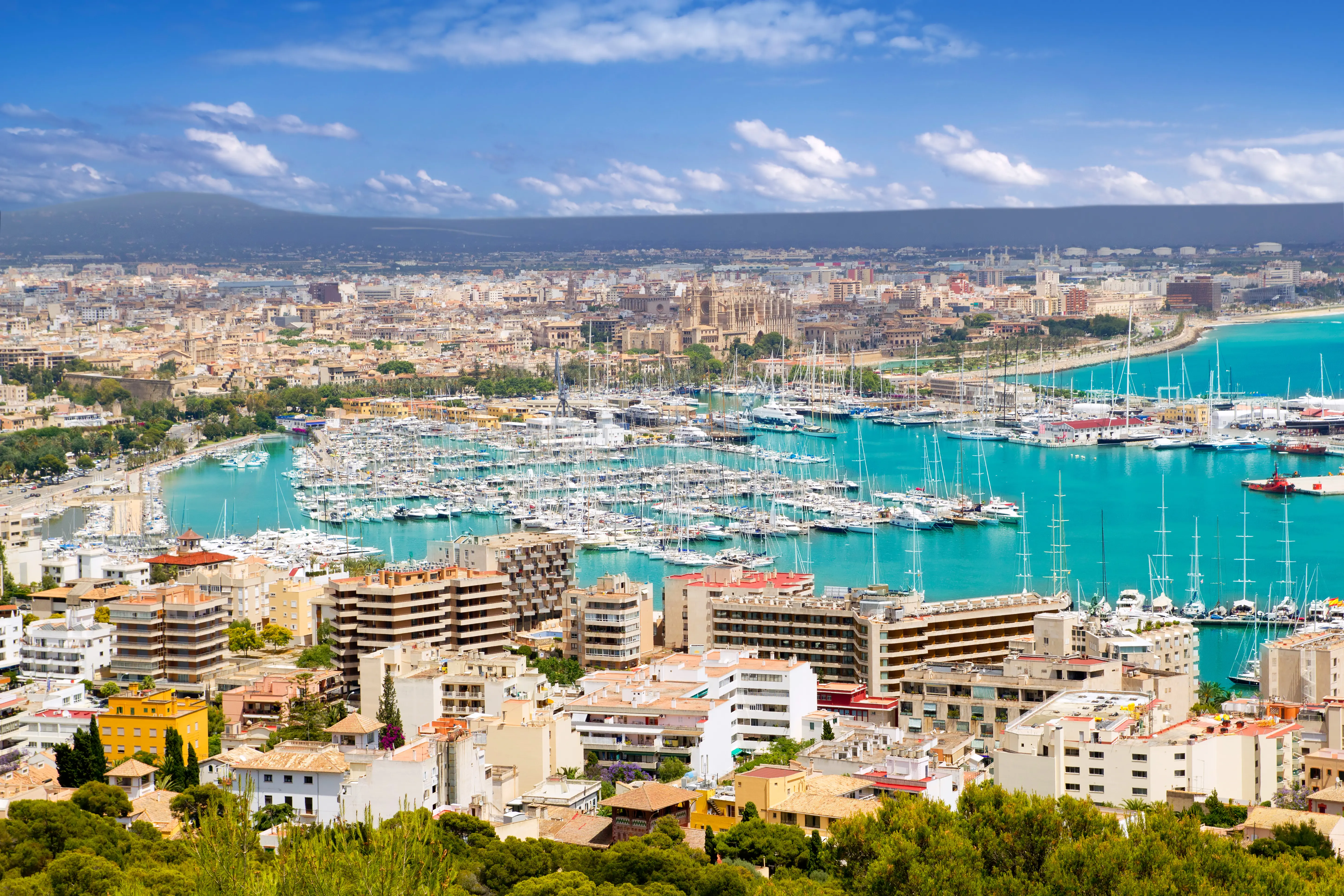 PMI Palma 10
