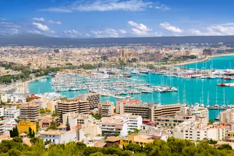 PMI Palma 10