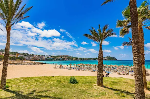 PMI Santa Ponsa Beach 586667933