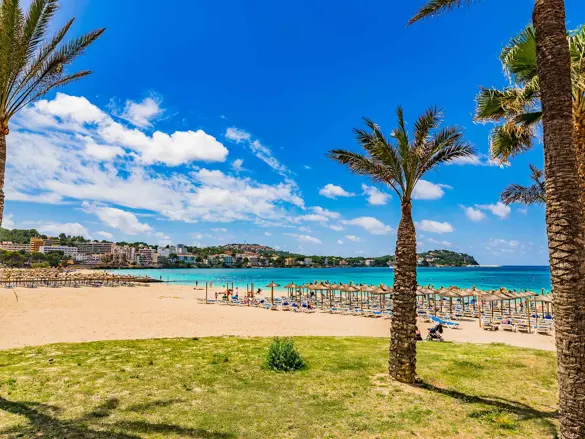 PMI Santa Ponsa Beach 586667933
