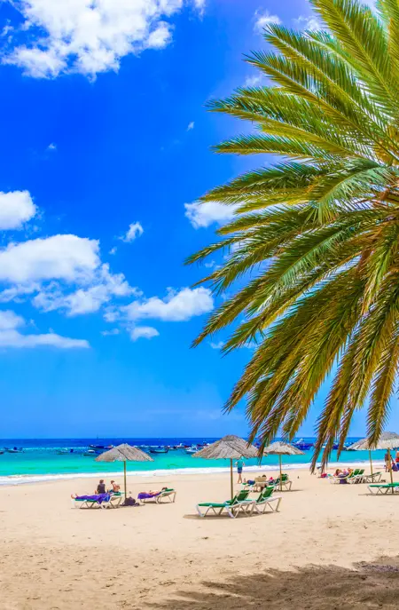 NORD Tenerife 549304237