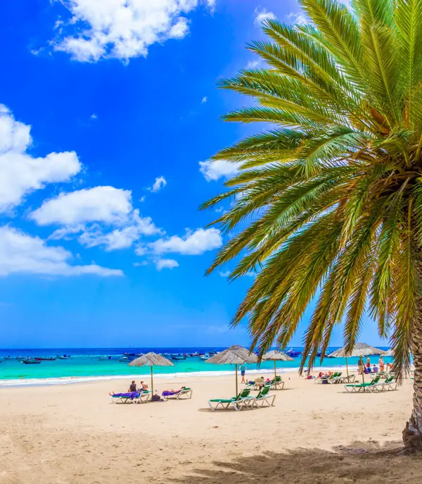 NORD Tenerife 549304237