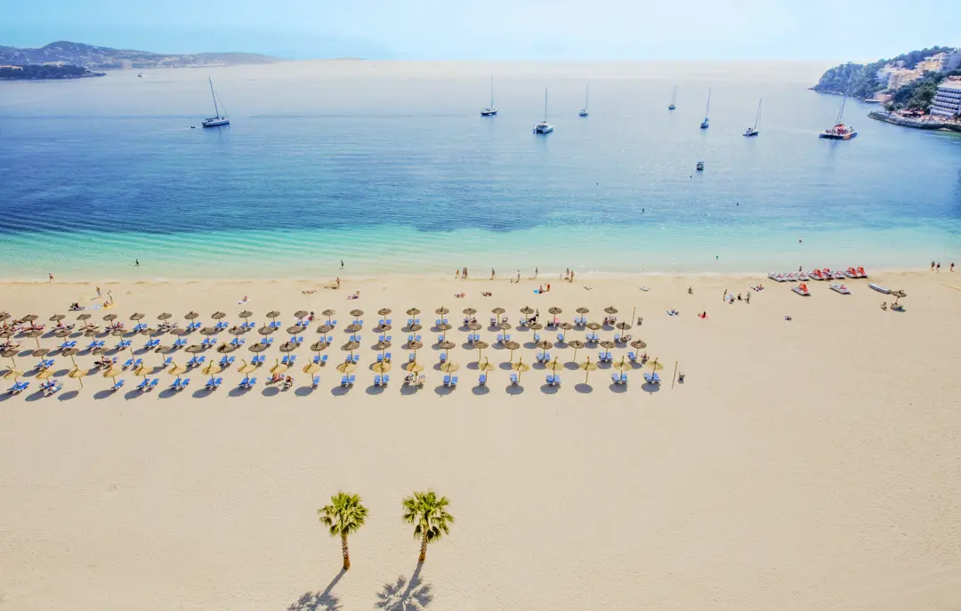 PMI Palmanova Playa 1