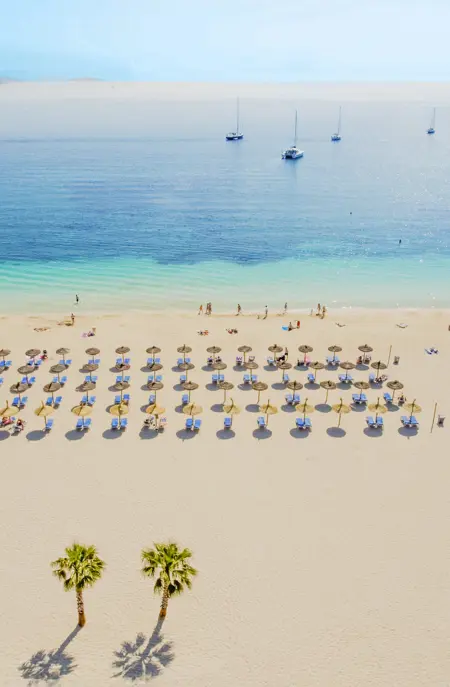 PMI Palmanova Playa 1