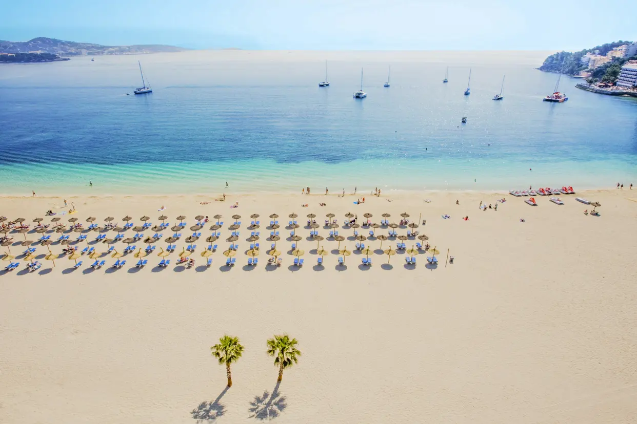 PMI Palmanova Playa 1