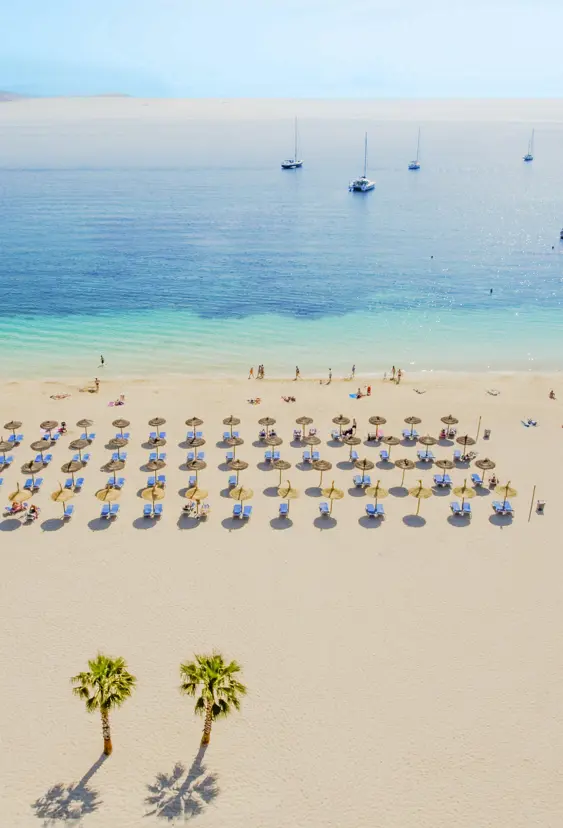PMI Palmanova Playa 1