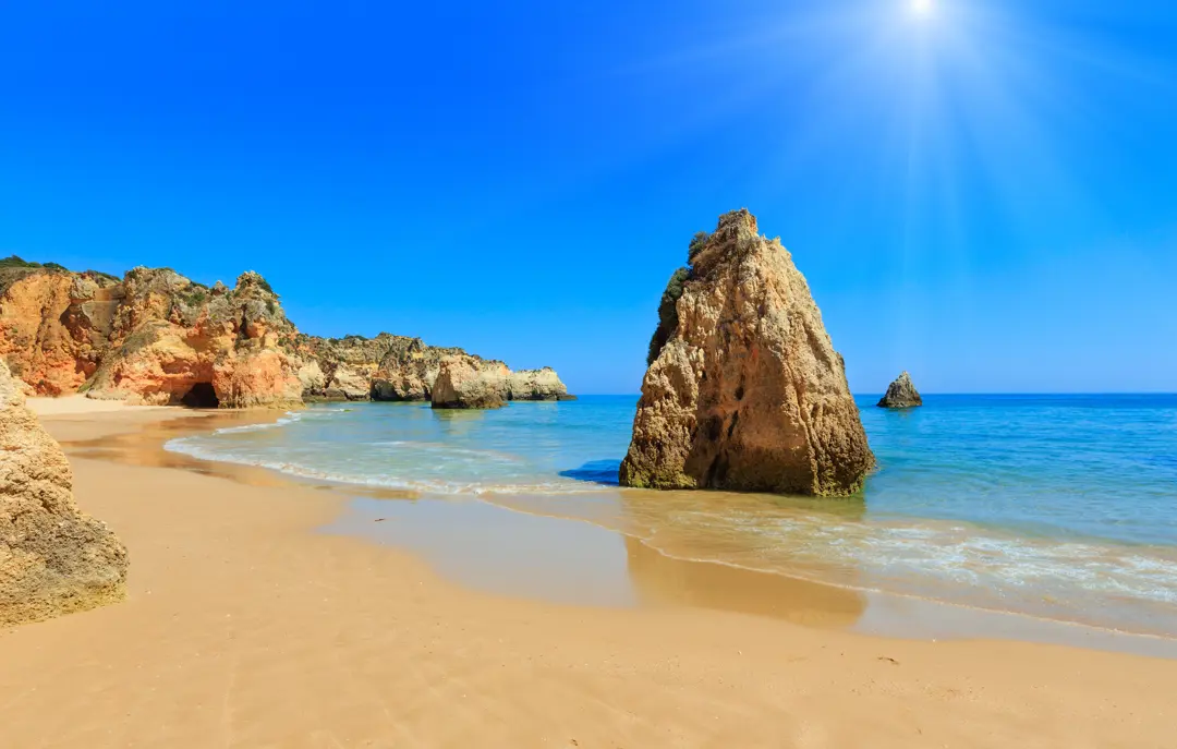FAO Alvor 525315505