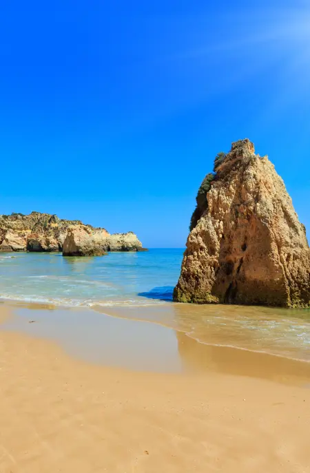 FAO Alvor 525315505