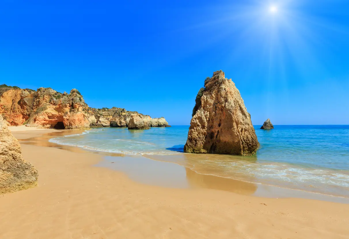 FAO Alvor 525315505