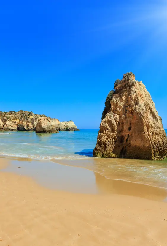 FAO Alvor 525315505