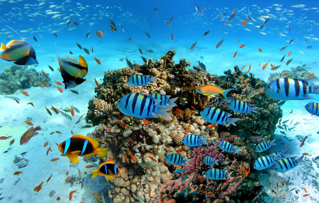 Hurghada Adobestock 322075291