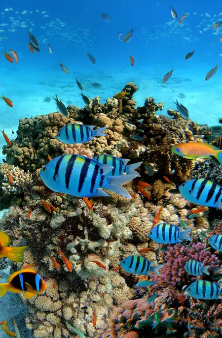 Hurghada Adobestock 322075291