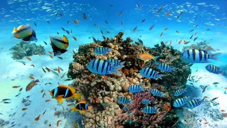 Hurghada Adobestock 322075291