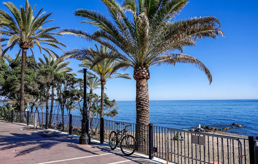 AGP Cykel Adobestock 1401726858